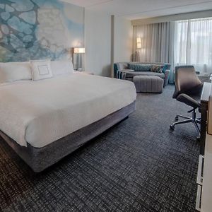King Guest Room Sofa Bed